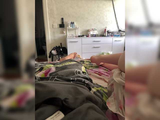 Live трансляция SABENY - slutnetki.online