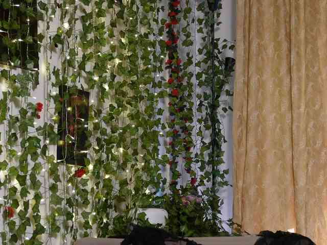 NaughtYHomemadE webcam