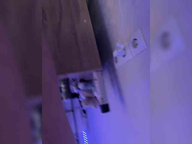 -Sweet-cats- webcam