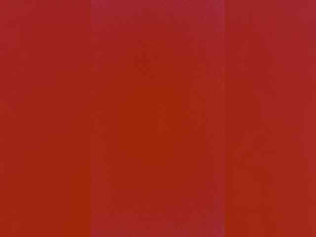 LittlePolish webcam