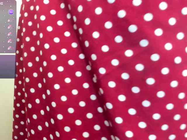 Laylala webcam