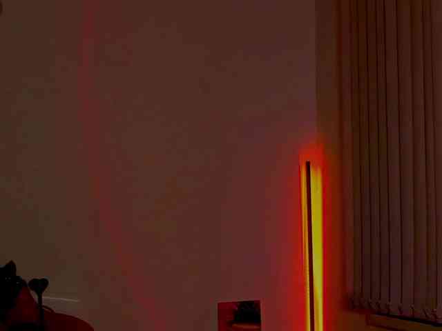 AndreaBlossom webcam