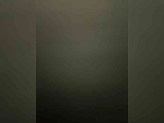 webkisa webcam