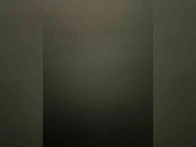 webkisa webcam