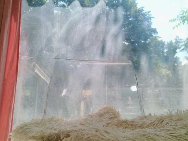 yannamiana cam belle