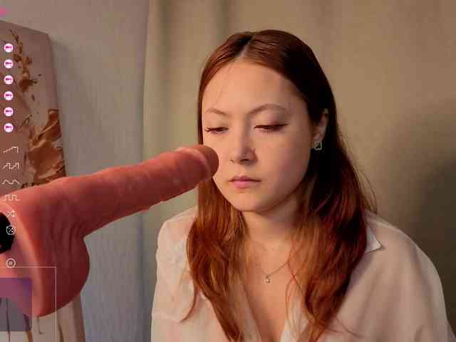 French-Eyes webcam