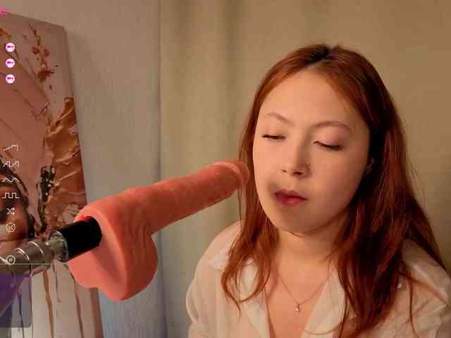 French-Eyes webcam