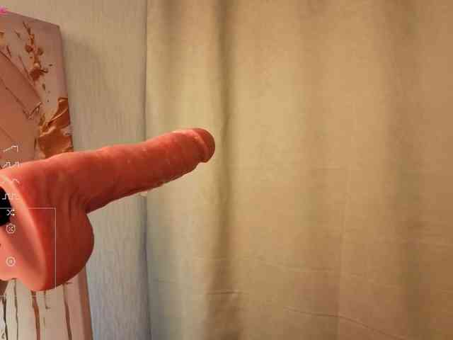 French-Eyes webcam