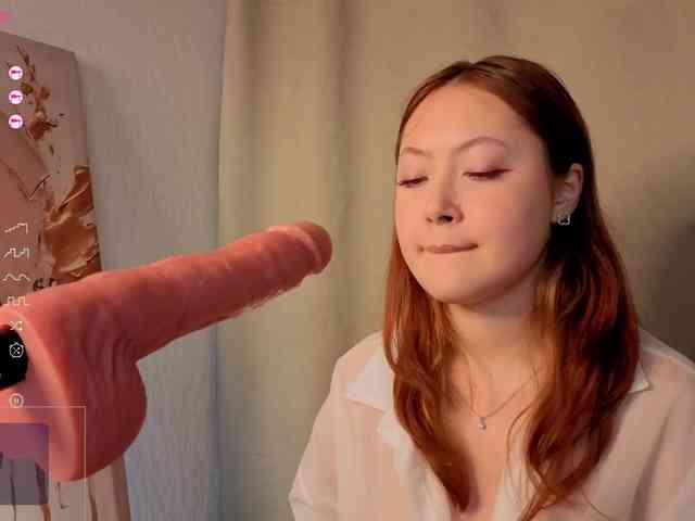 French-Eyes webcam