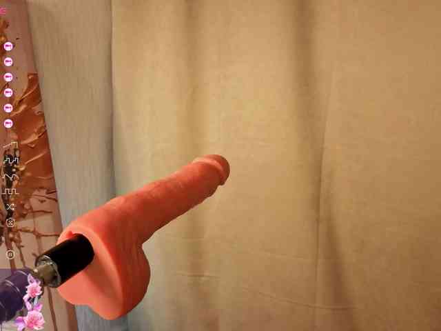 French-Eyes webcam