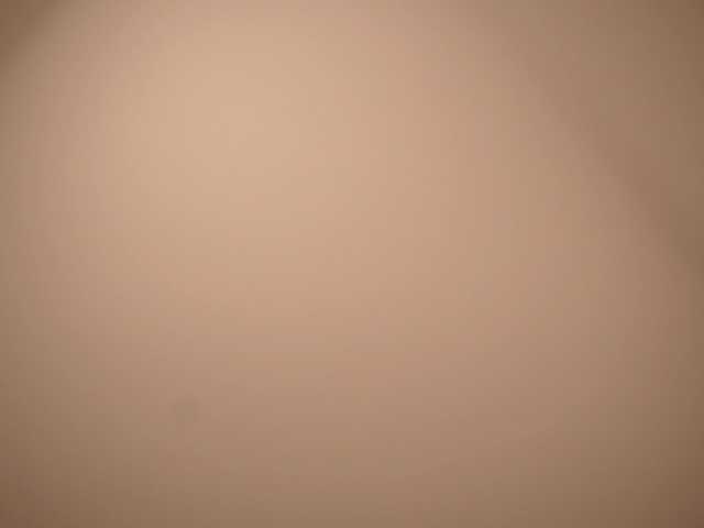 evasweet live sex