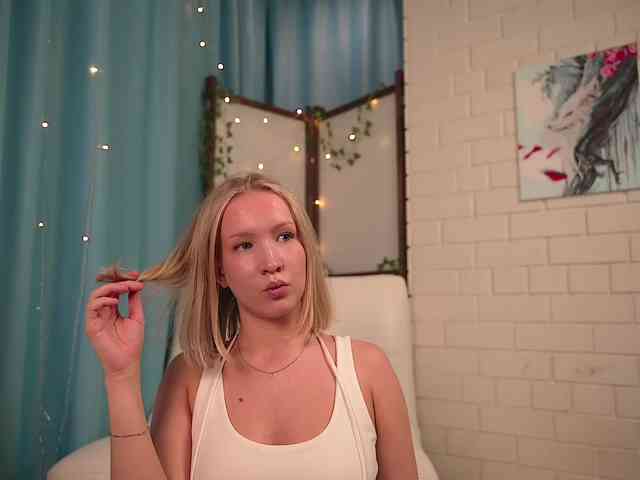 EvaSweet webcam