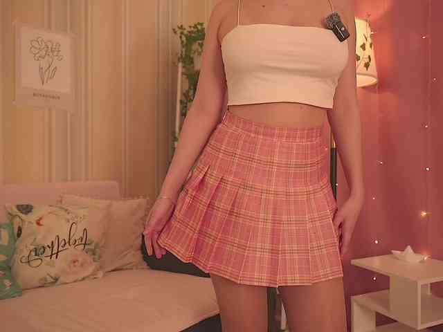 EvaSweet webcam
