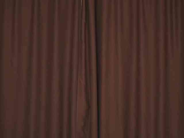 EvaSweet webcam