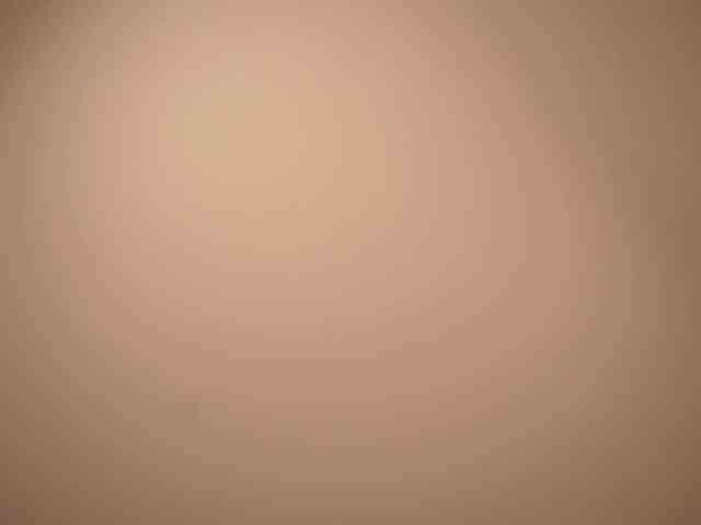EvaSweet webcam