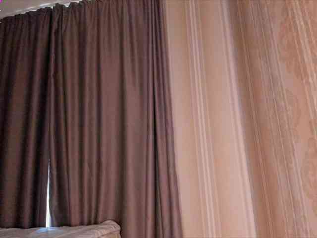 EvaSweet webcam