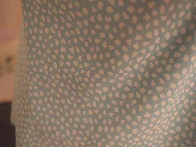 EvaSweet webcam