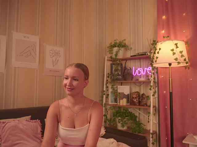 EvaSweet webcam