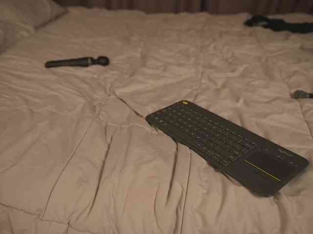 EvaSweet webcam