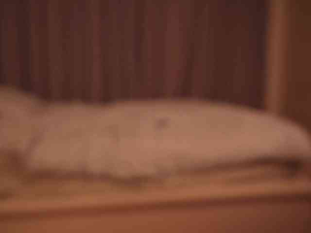 EvaSweet webcam