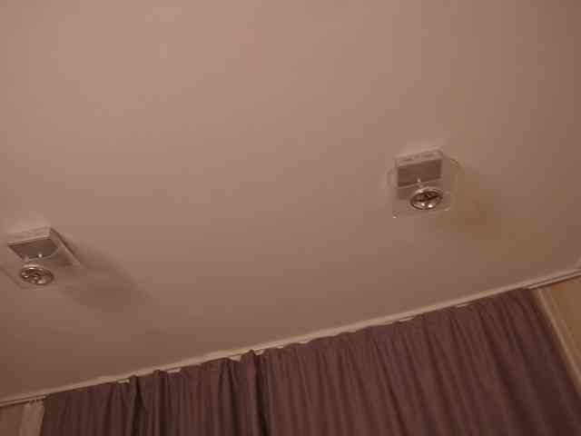 EvaSweet webcam