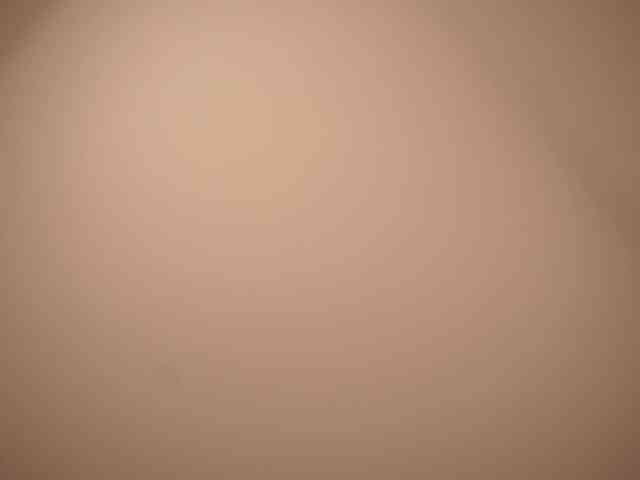 EvaSweet webcam