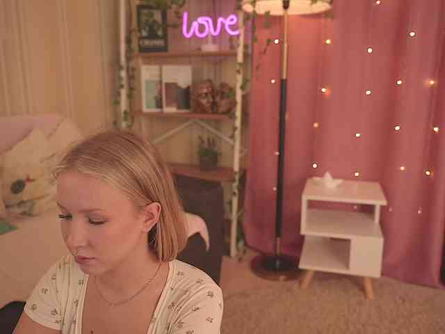 EvaSweet webcam