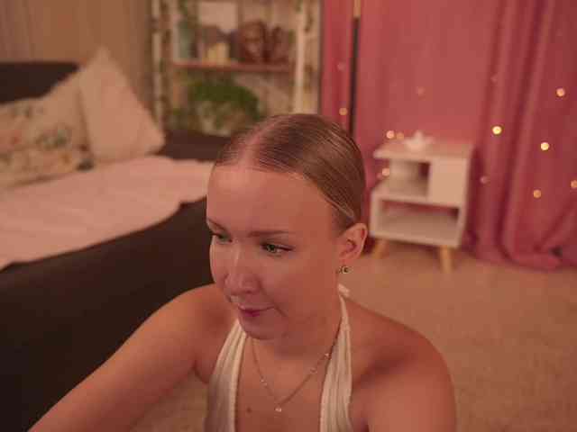 EvaSweet webcam