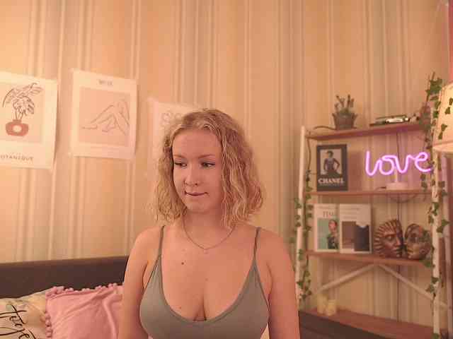 EvaSweet webcam
