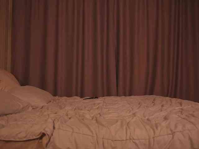EvaSweet webcam