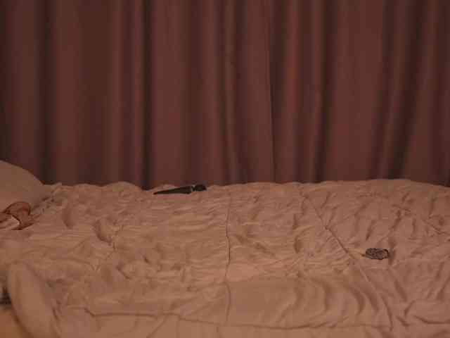 EvaSweet webcam