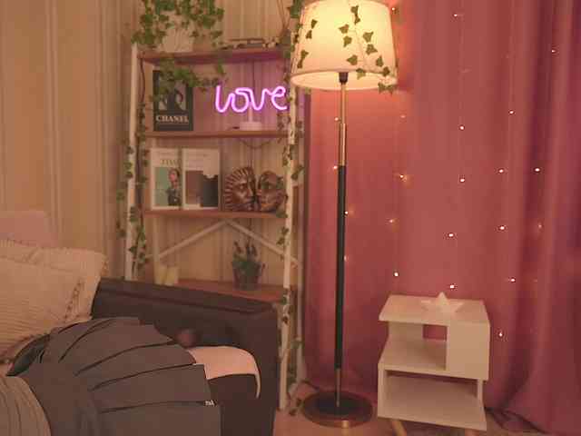 EvaSweet webcam