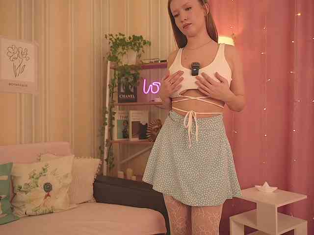 EvaSweet webcam