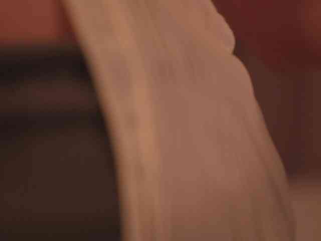 EvaSweet webcam