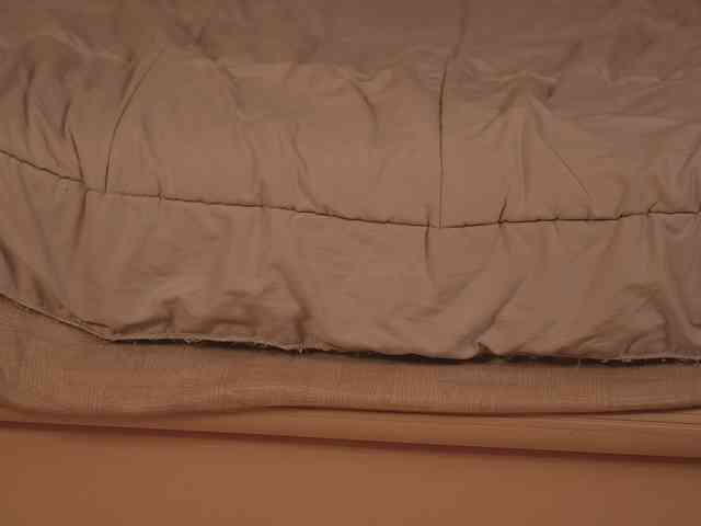 EvaSweet webcam