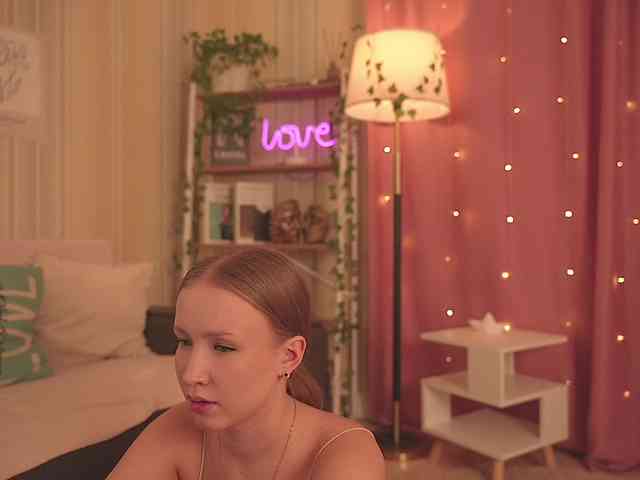 EvaSweet webcam