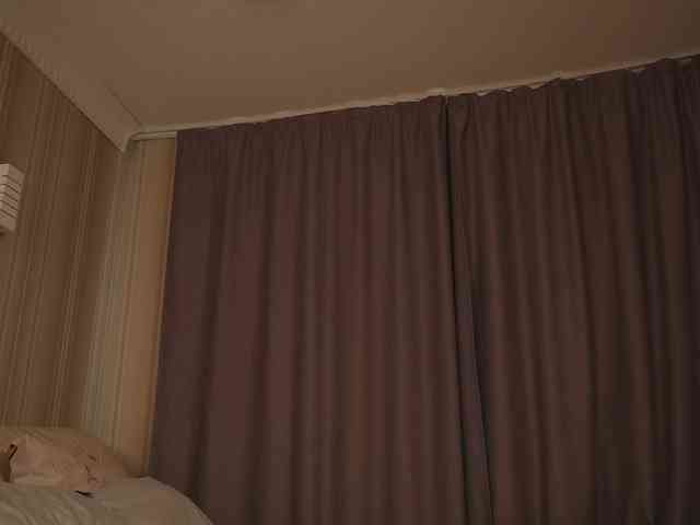 EvaSweet webcam