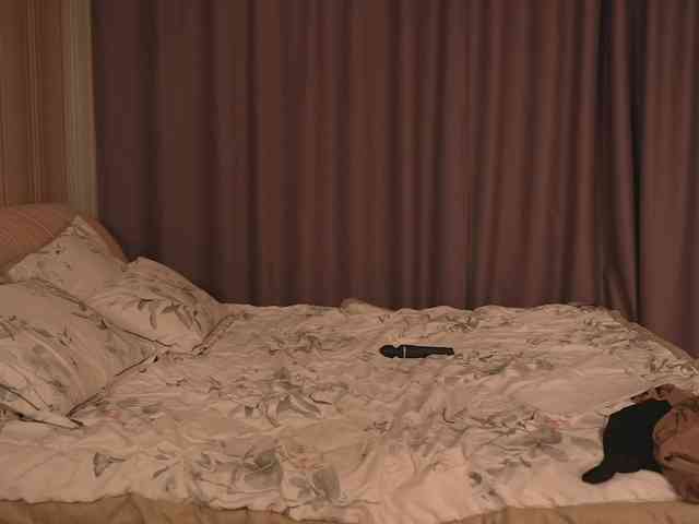 EvaSweet webcam