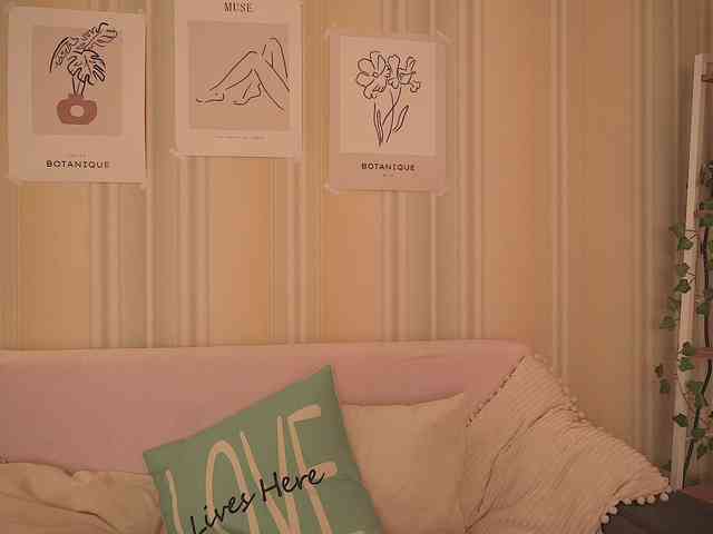 EvaSweet webcam