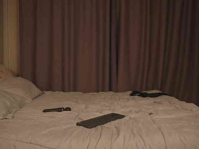 EvaSweet webcam