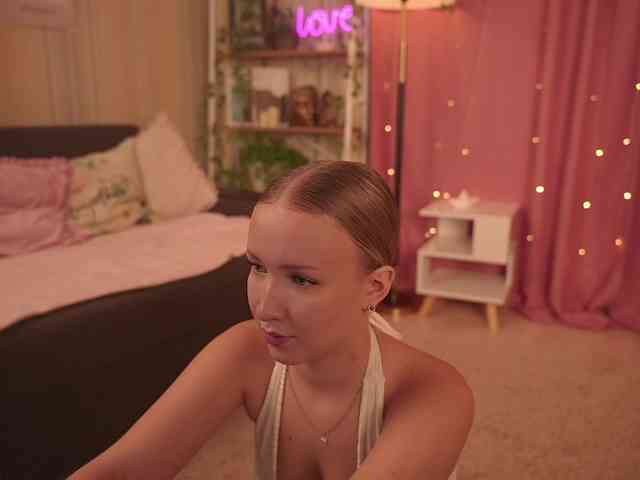 EvaSweet webcam