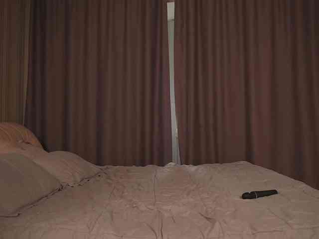 EvaSweet webcam