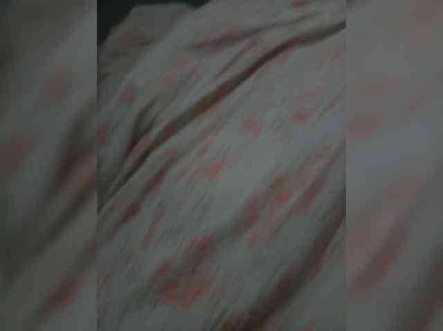 LilitVA webcam
