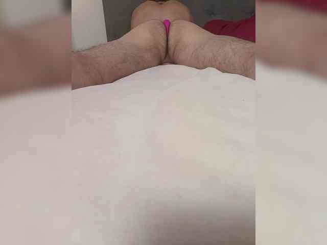 Dog37b Dog37b