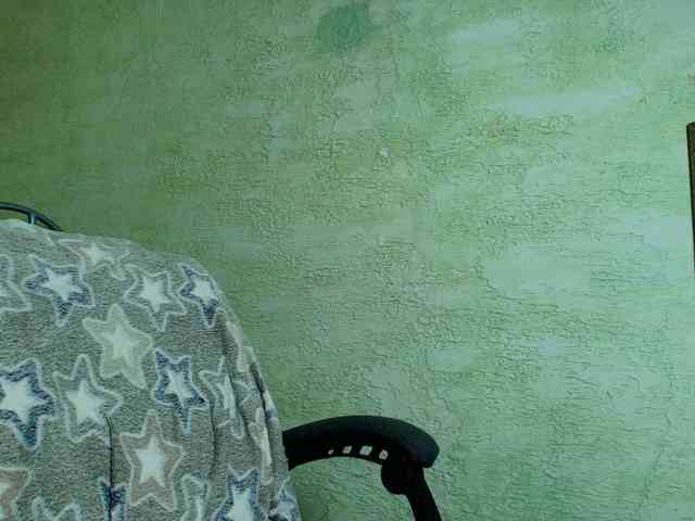 Fairy_Light webcam