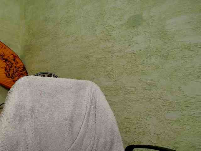 Fairy_Light webcam