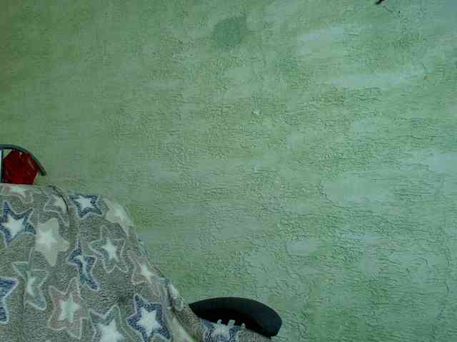 Fairy_Light webcam