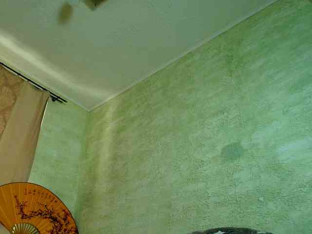Fairy_Light webcam