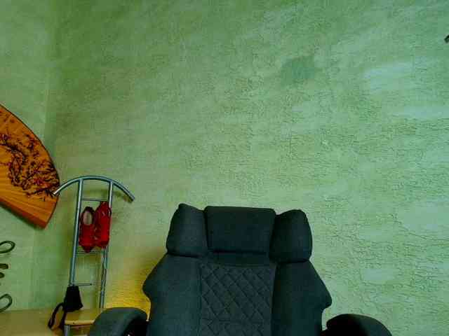Fairy_Light webcam