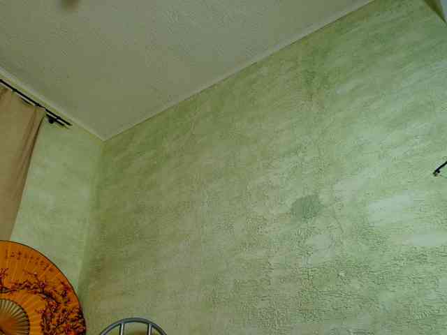 Fairy_Light webcam